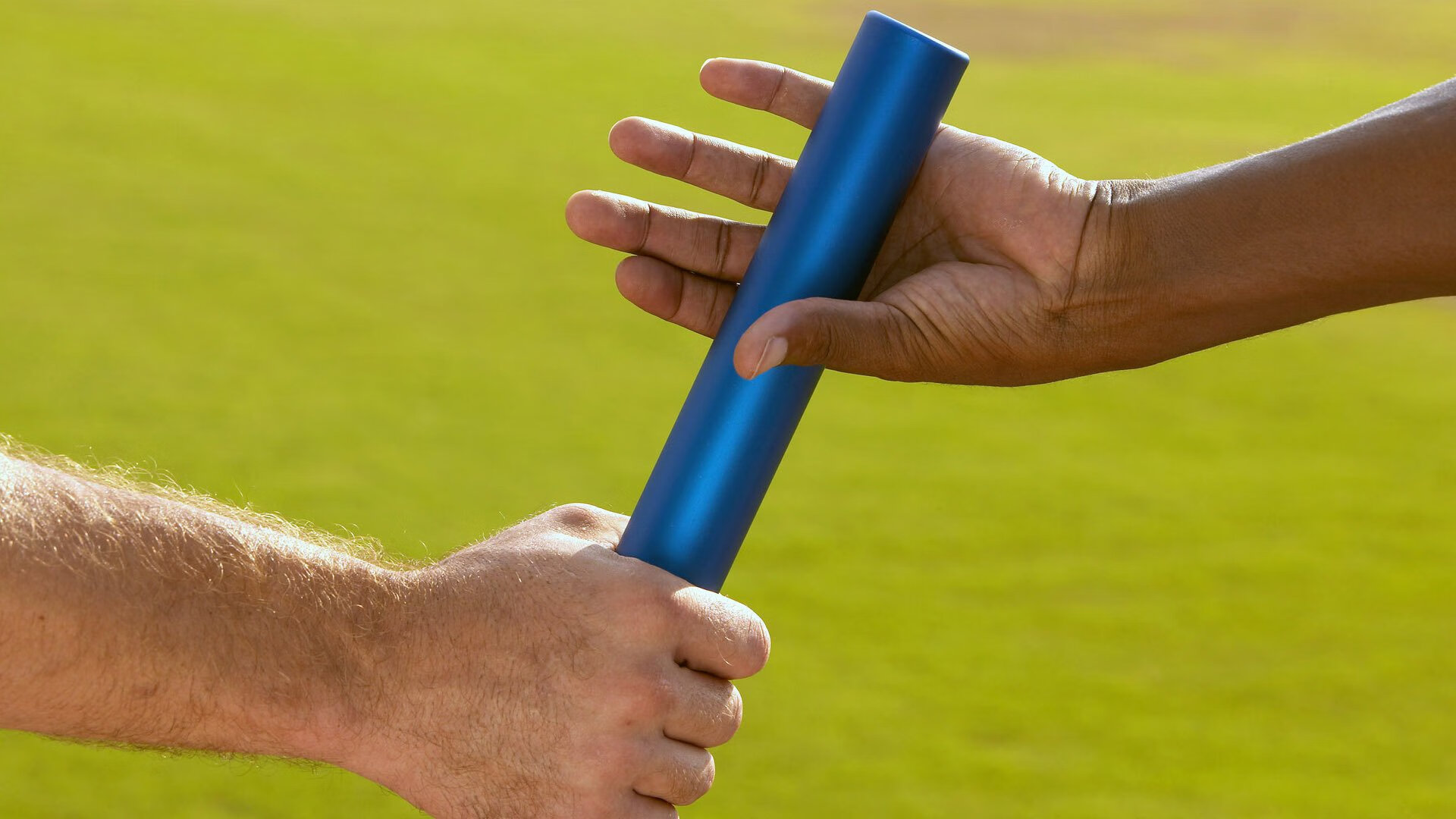 高校体育课程质量控制体系研究,高校体育课程设置